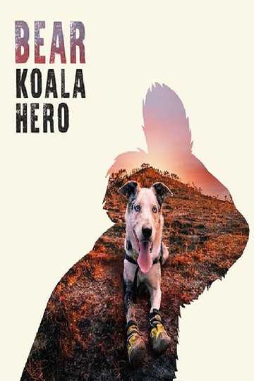 Bear Koala Hero