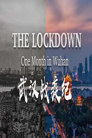 The Lockdown One Month in Wuhan Poster