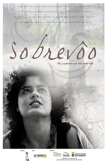 Sobrevôo Poster