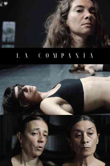 The Company