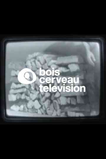 BOIS CERVEAU TV 1