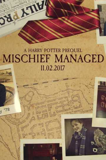 Mischief Managed Poster