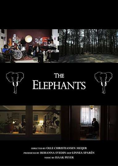 The Elephants Poster