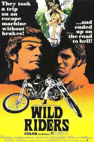 Wild Riders Poster
