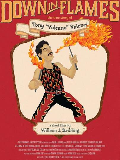 Down in Flames The True Story of Tony Volcano Valenci Poster