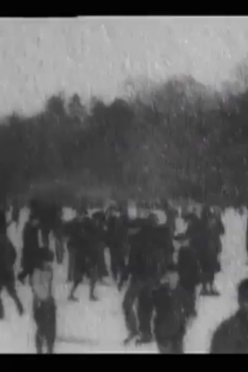 Skating on Lake, Central Park