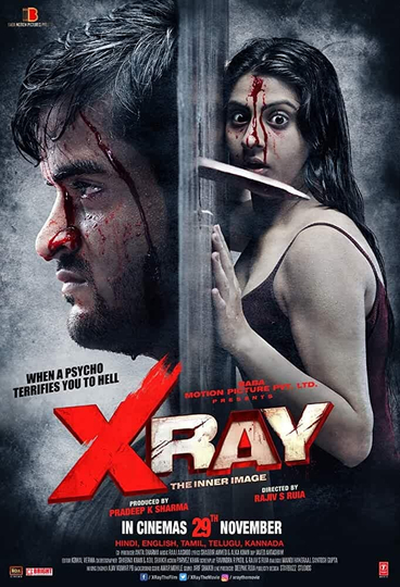 X Ray: The Inner Image Poster