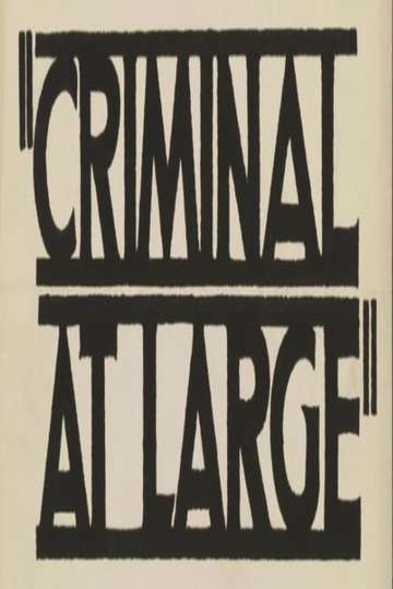 A Criminal at Large Poster