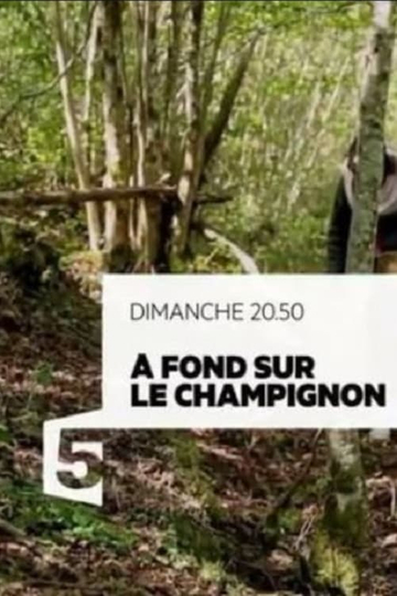 A fond sur le champignon