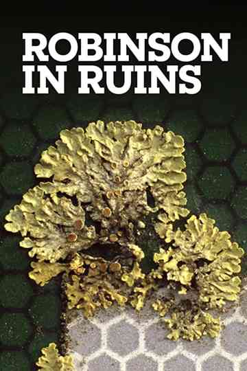 Robinson in Ruins poster