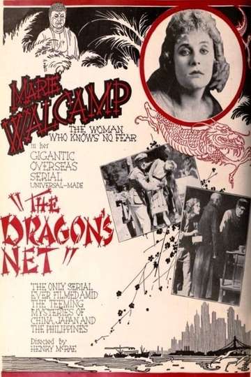 The Dragons Net