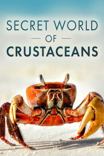 The Secret World of Crustaceans Poster