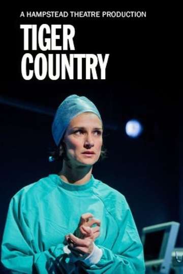 Hampstead Theatre At Home Tiger Country Poster