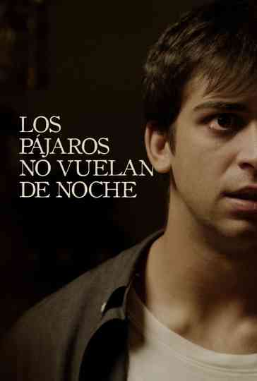 Birds Don’t Fly at Night Poster