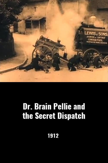 Dr Brian Pellie and the Secret Dispatch