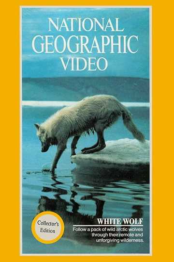 National Geographic: White Wolf Poster