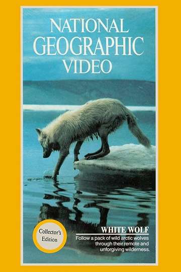 National Geographic White Wolf Poster