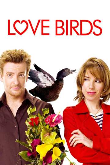 Love Birds Poster