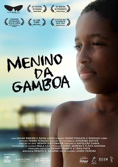 Menino da Gamboa Poster