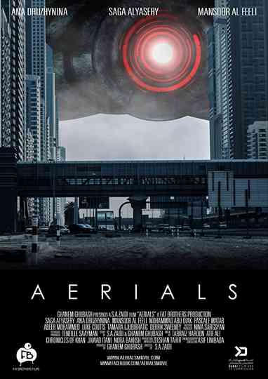 Aerials Poster