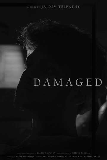 Damaged Poster