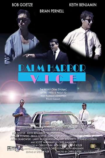 Palm Harbor Vice Poster