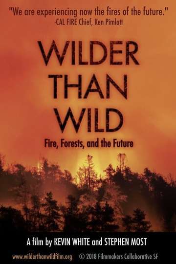 Wilder than Wild Fire Forests and the Future