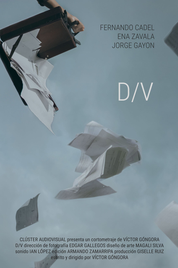 DV Poster