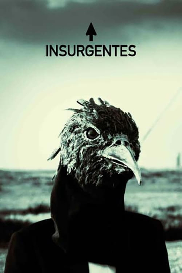 Steven Wilson  Insurgentes Poster