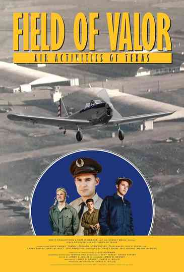 Field of Valor: Air Activities of Texas