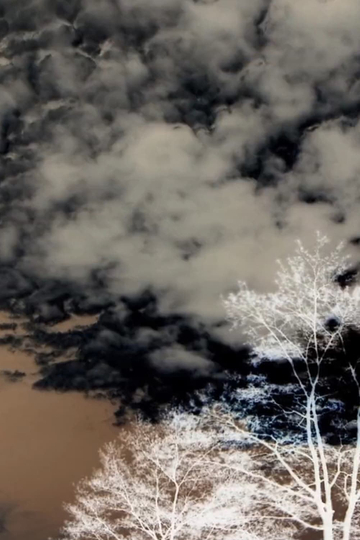 Clouds and Trees