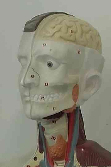 Cinema Exercises poster