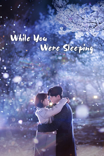 While You Were Sleeping Poster