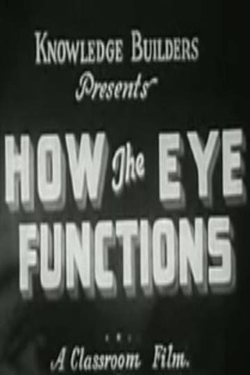 How the Eye Functions Poster