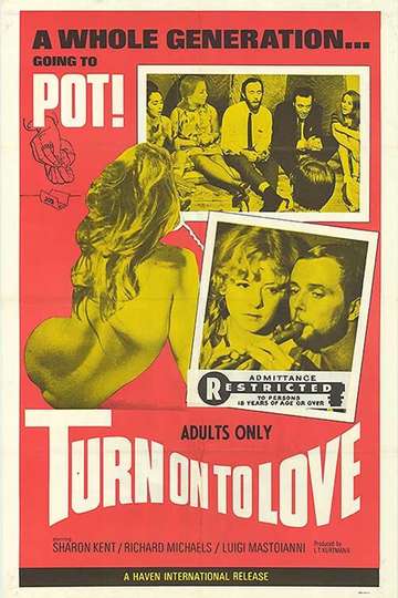 Turn On to Love Poster