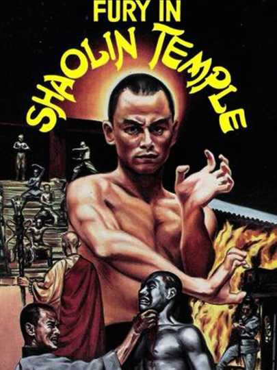 Fury in Shaolin Temple Poster