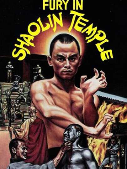 Fury in Shaolin Temple Poster
