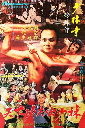 Fury in the Shaolin Temple Poster