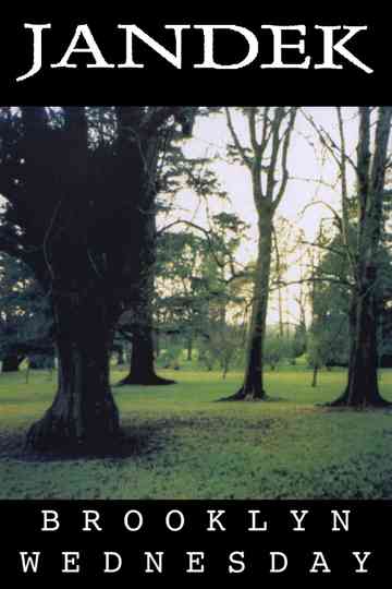 Jandek Brooklyn Wednesday