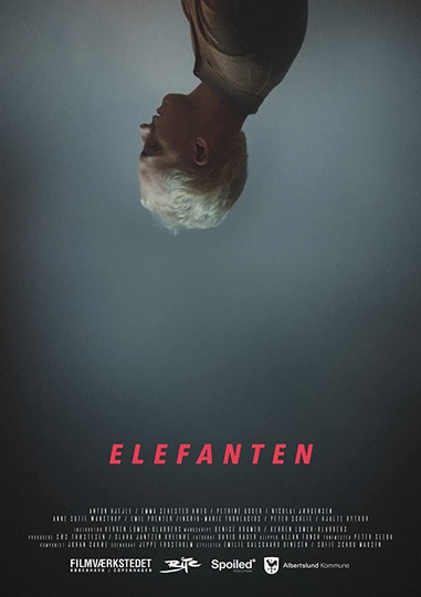 Elefanten Poster