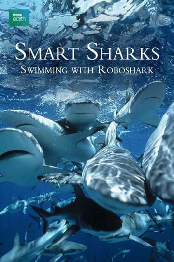 Smart Sharks Swimming With Roboshark