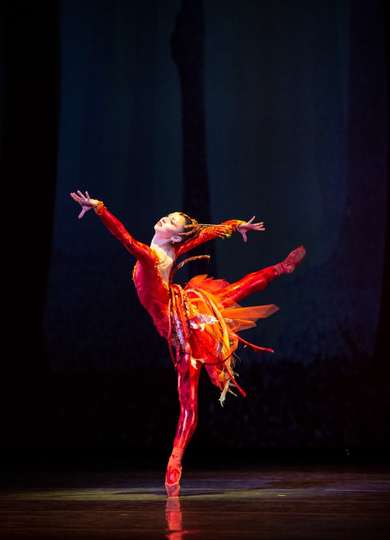 Miami City Ballets The Firebird Poster