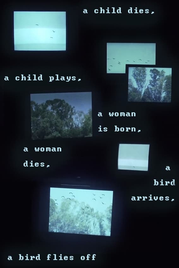 A child dies a child plays a woman is born a woman dies a bird arrives a bird flies off