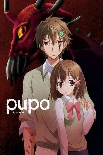 Pupa poster