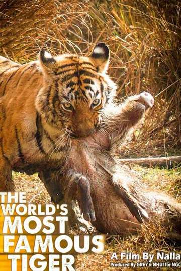 The Worlds Most Famous Tiger