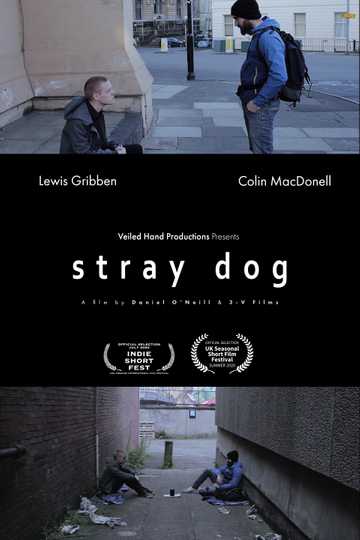 Stray Dog