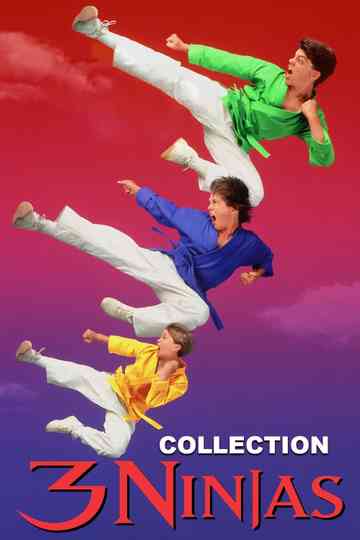 3 Ninja Kids Collection Poster