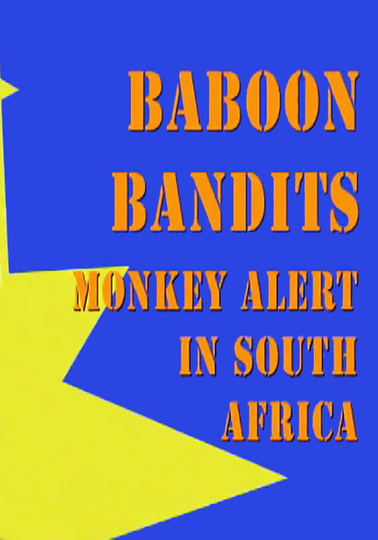 Baboon Bandits Monkey Alert in South Africa