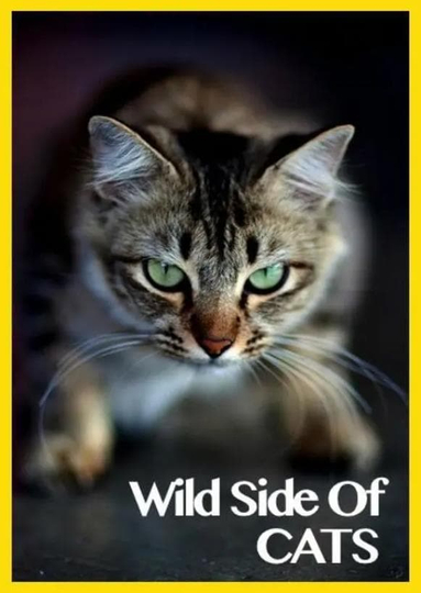 Wild Side of Cats Poster