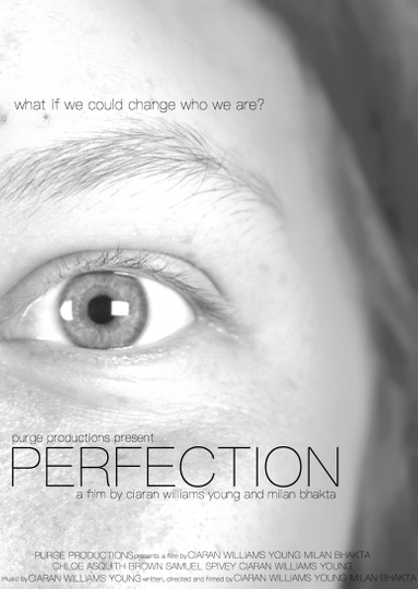 PERFECTION Poster